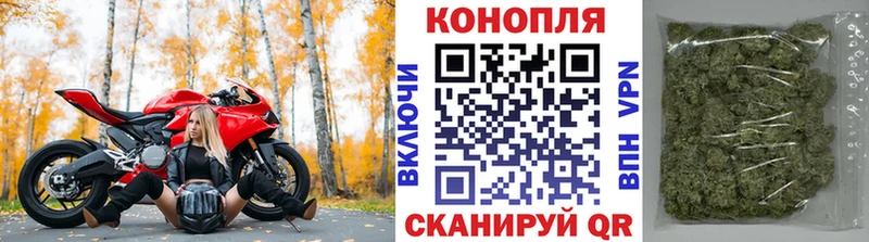 Конопля планчик  Купить  Свободный 